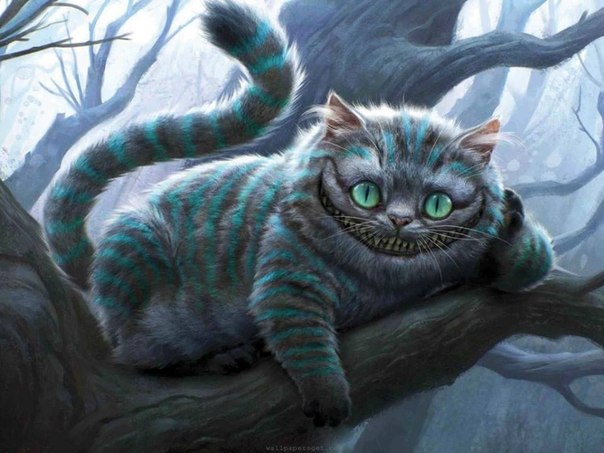 13 коротких историй