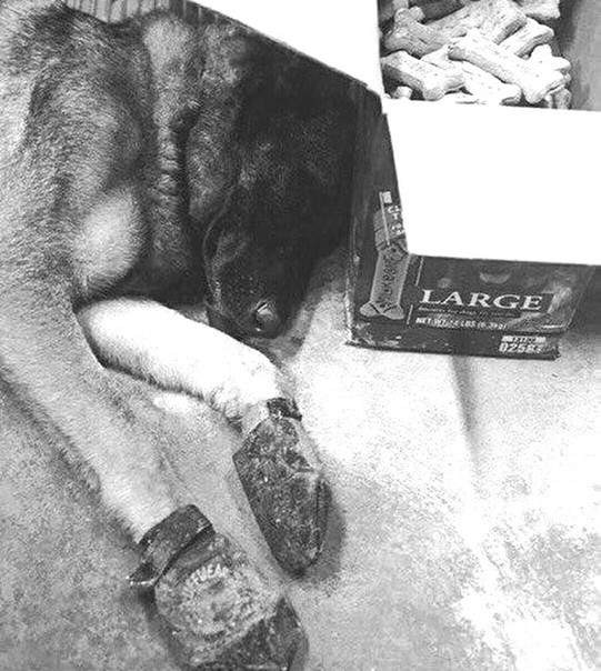 Другие фотографии известных людей