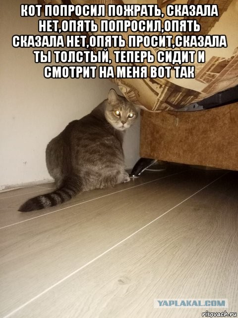 Бредзона 17.12.20