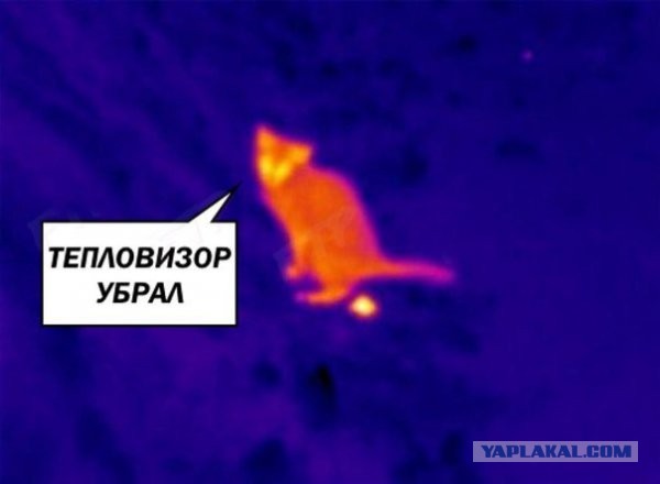 Бредзона и не только