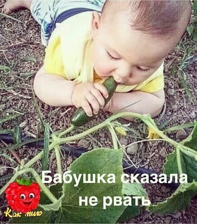Баянисто-небаянистый юмор 09.08.21