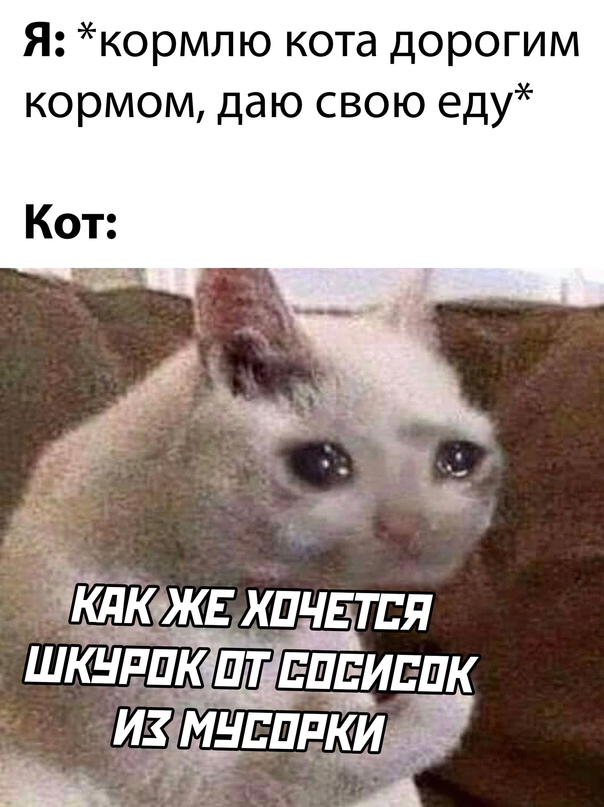 Весёлый полтишок 16.10