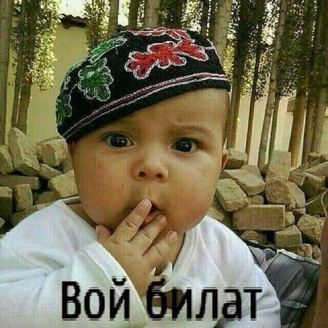 Только самый сильный самец получит эту самку