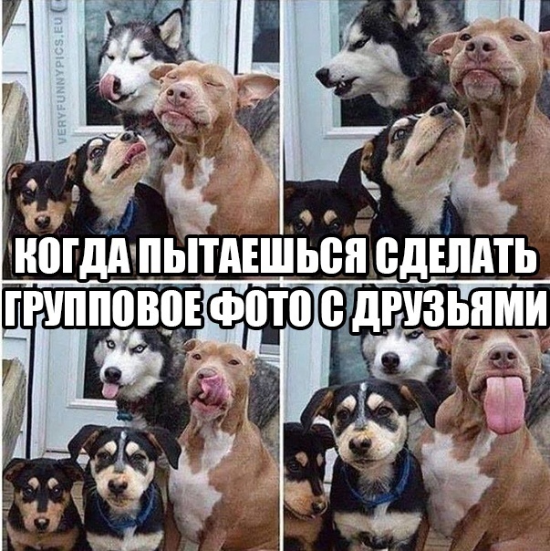 Так себе картинки 12.02.22