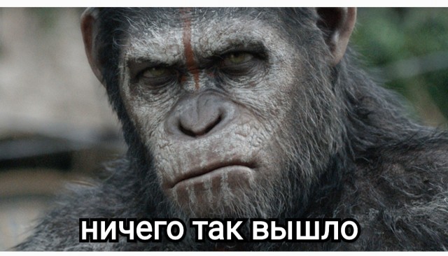 Спас обезьянку