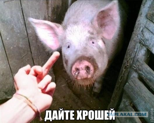 Дайте грошей!