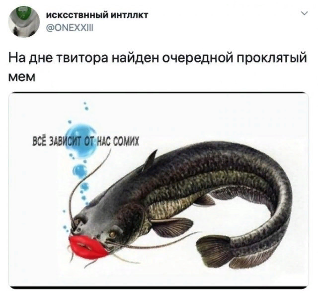 Картинки и мемы, всем хороших выходных