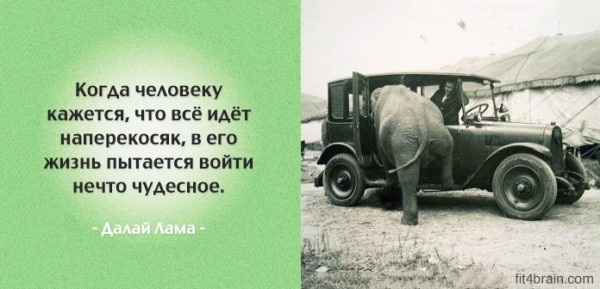 Пятница. Вечер. Картинки всякие #9