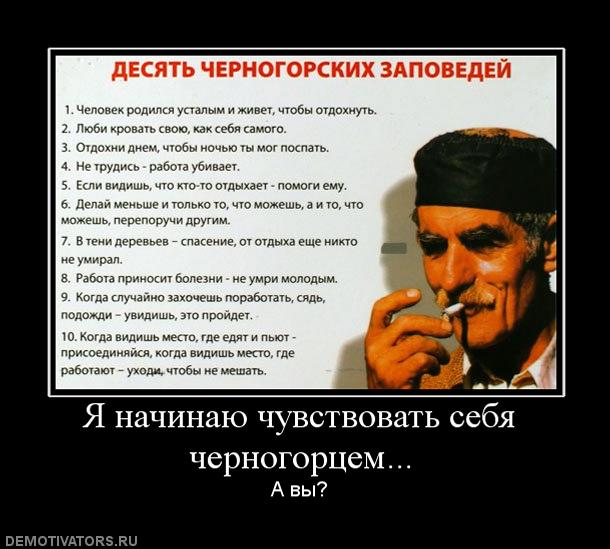 30 фактов о Сербии глазами россиянина