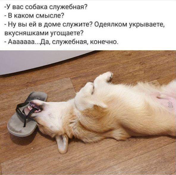 Картинки и мемы для настроения - 11