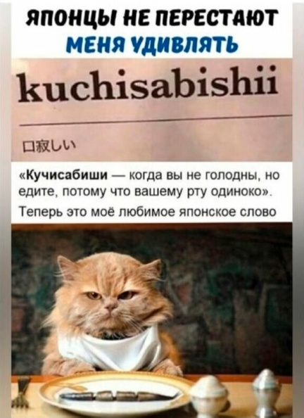 Скриншоты и комментарии из социальных сетей 23.08.22