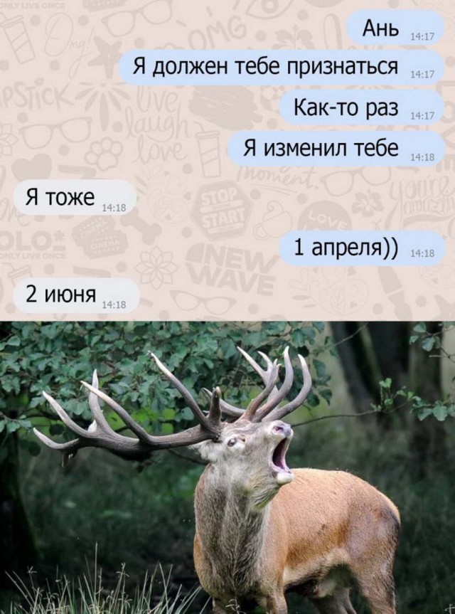 Картинки и мемы. Выходные близко...