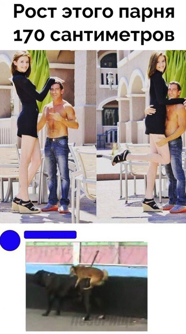 Так себе картинки 06.10.22