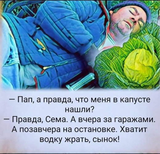 Загадки пословицы про капусту. Витамины в капусте белокочанной. Стихотворение про капусту для детей. Меня нашли в капусте. Диоклетиан римский император капуста.