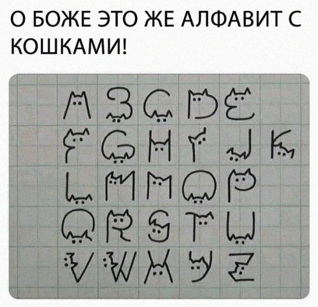 Немного картинок для настроения 07.03.2023