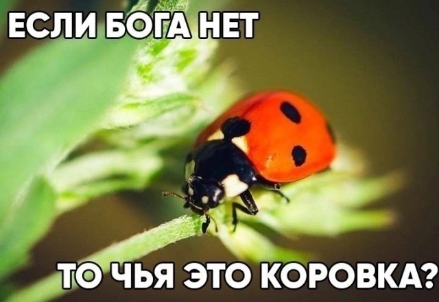 Черти на банкнотах.