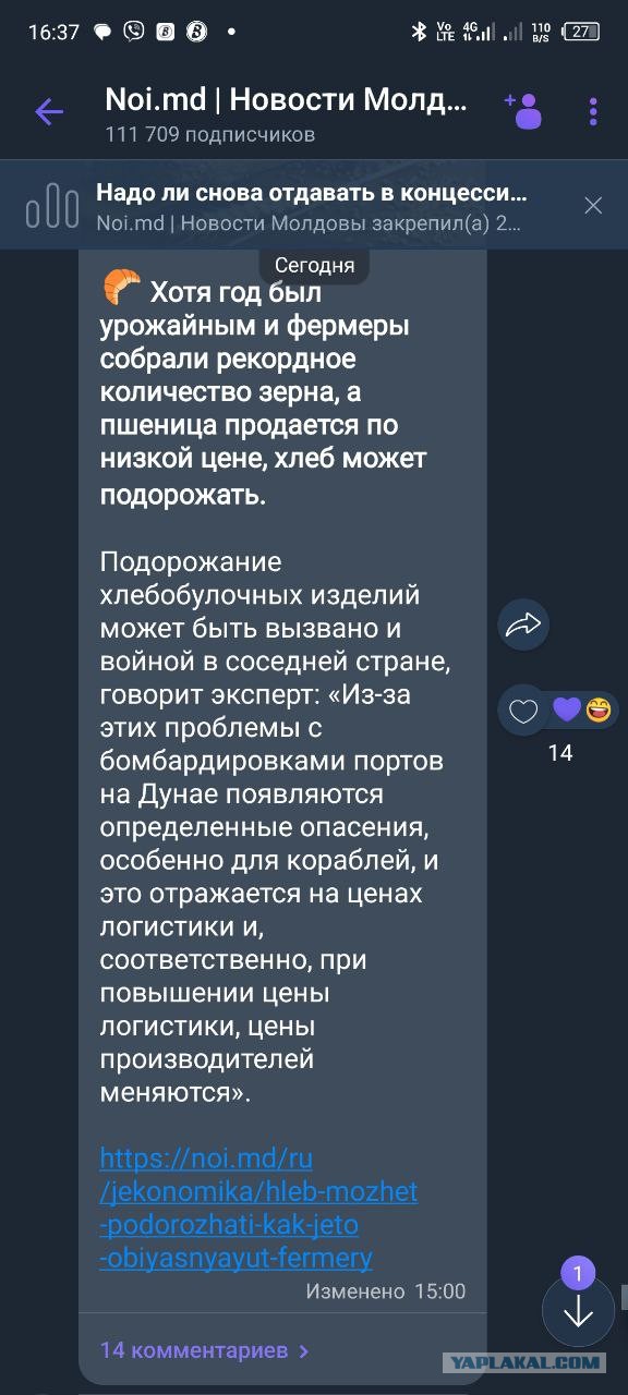 Производители пояснили, с чем связан резкий рост цен на яйца и курицу
