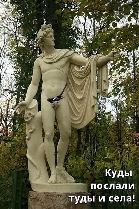 Юмор в картинках и без