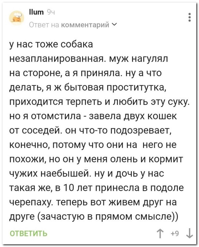 Так себе картинки 23.02.24