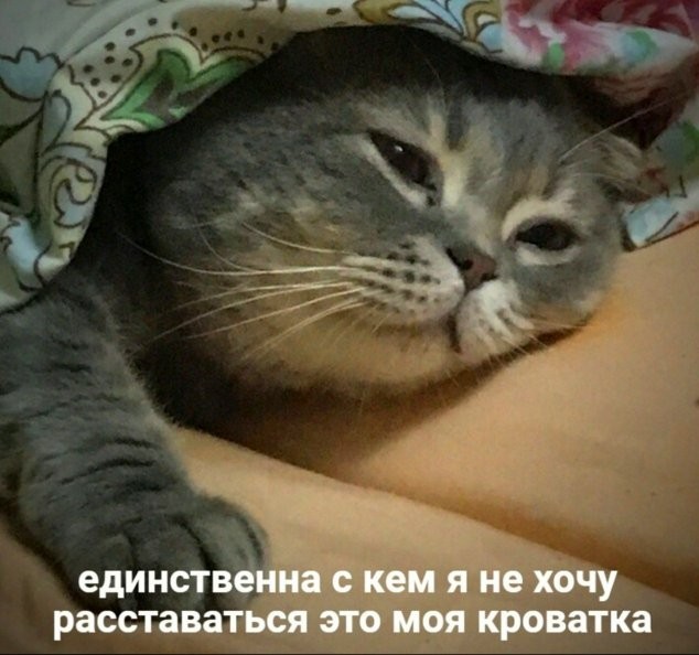Сборник бабаянов или неожиданная помойка от Неждалигады