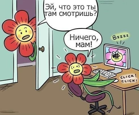 Завалялось тут случайно немного забавных картинок