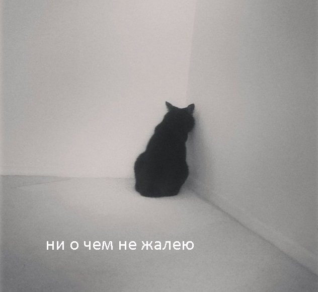 Криминальная сводка за последнюю неделю