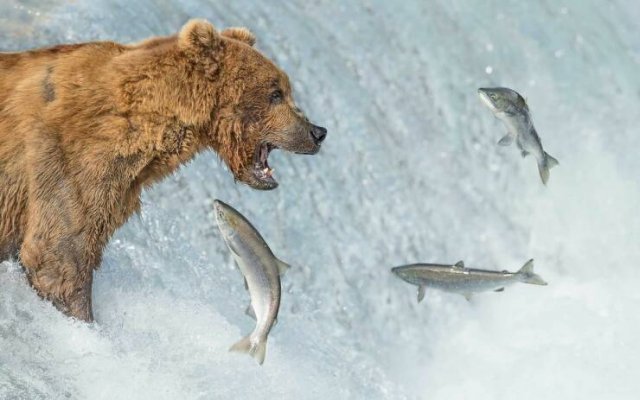 Картинки разные с надписями и без