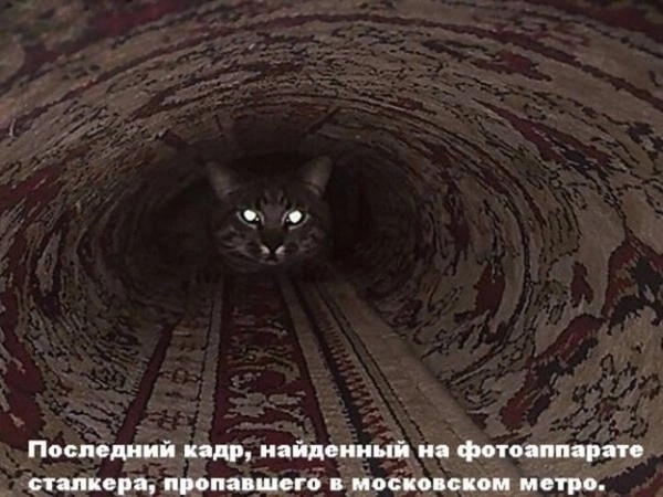 Так себе картинки 24.11.24