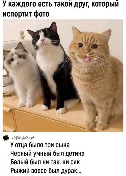 Картинки на 	субботний день