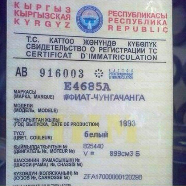 Социальные ролики, которые мы заслужили