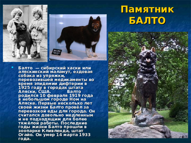 Столетний юбилей ВЕЛИКОЙ ГОНКИ МИЛОСЕРДИЯ