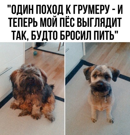 Доставка новостей