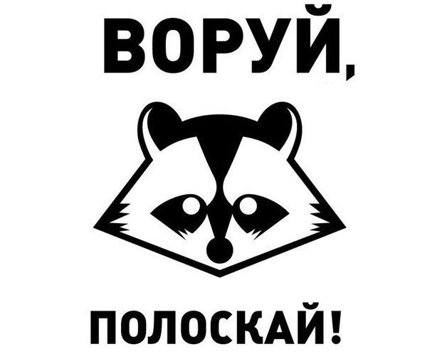 Енот воришка
