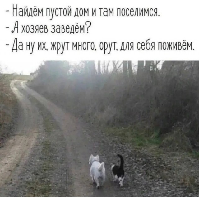 Картинки для деградации 52 (разной степени свежести)