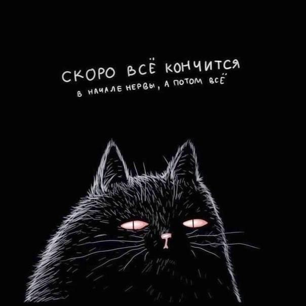 Картинки для деградации 67 (разной степени свежести)