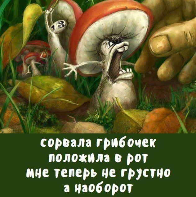 Прикольные и просто красивые картинки 18.11.2025