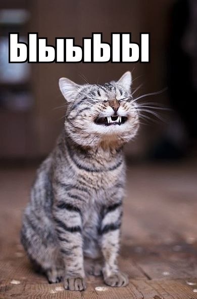 Возвращение доверия