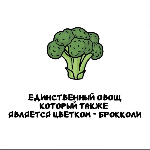 Интересные и короткие факты на все случаи жизни 05.01.26