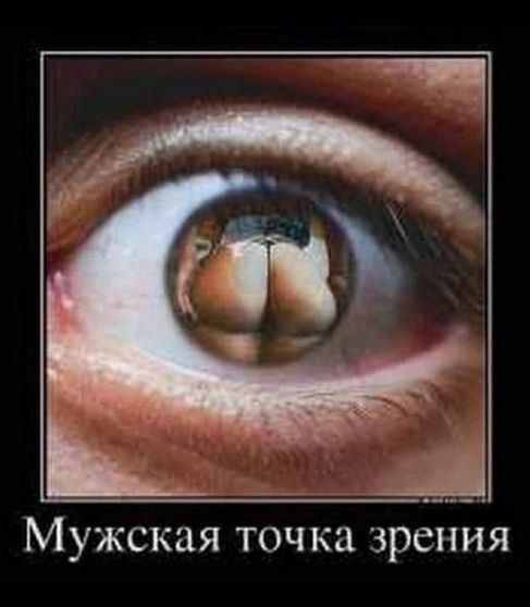 Забавные и не очень скромные картинки - 27