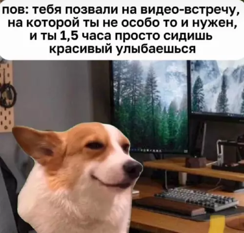 Картиночки, баянчики 10 марта