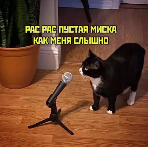 Котямбосы