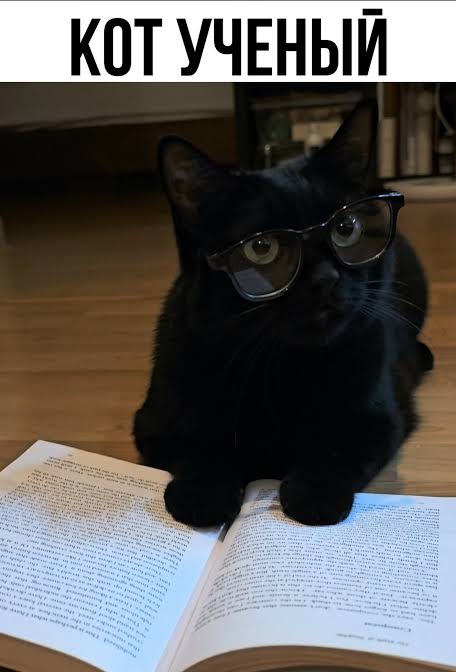 Кот Шрёдингера вне коробки