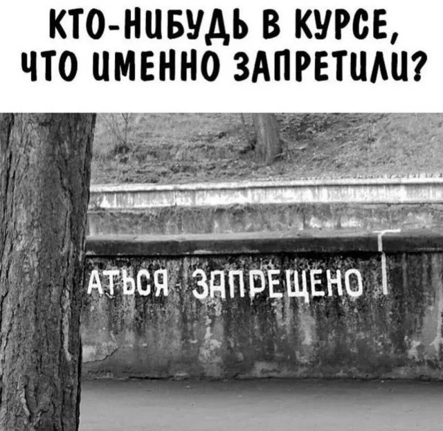 Веселые картинки в маленькую пятницу (08.07)
