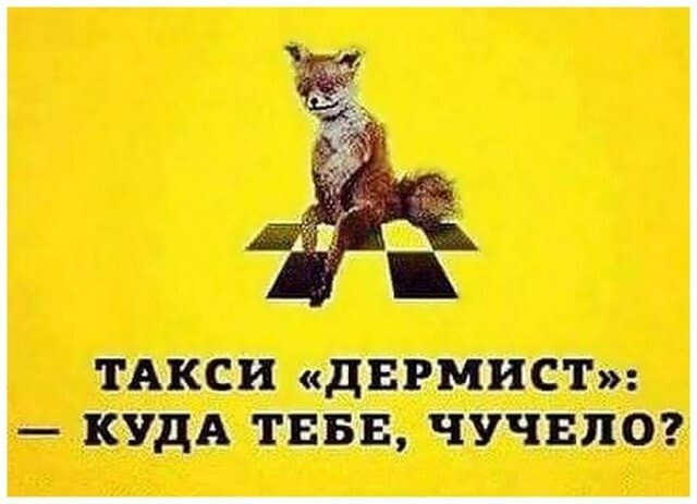 Таксидермия - это состояние души