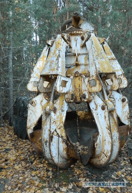 Они стоят здесь с 1986 года. Как выглядят поезда в Припяти сегодня?