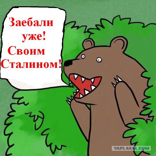 Страна развивается!