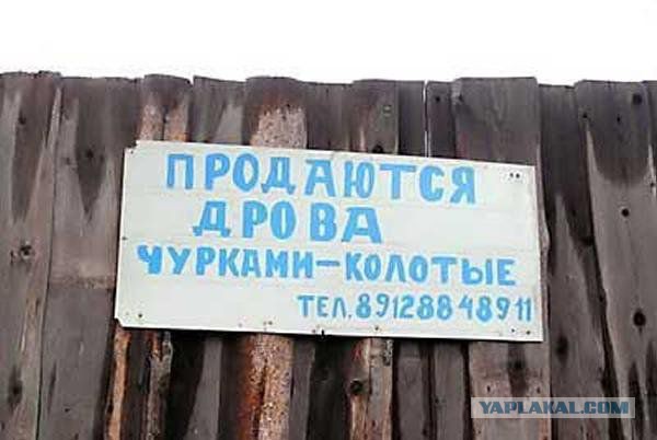 Толерантность