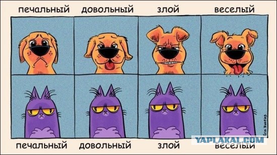 Лучшая актёрская игра
