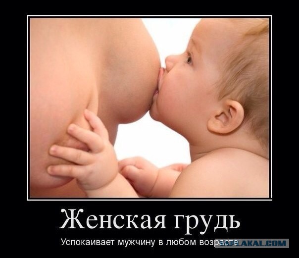 Смешные комментарии на 16.04.2014