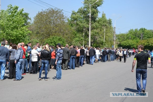 Подборка фото с референдума